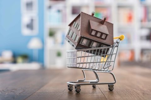 A toy house in a shopping cart representing buying your first home in the bow valley