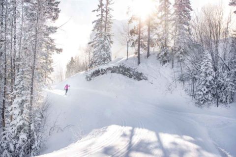 Skiing at the Canmore Nordic Centre by Suzy Buckley