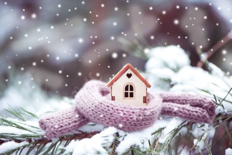 A toy house wrapped in a scarf on a snow-covered evergreen branch representing winter selling myths