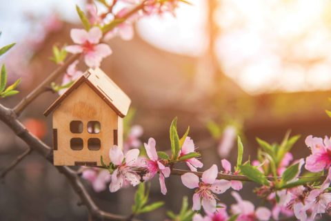 A wooden house in bright pink flowers representing reasons to sell this spring