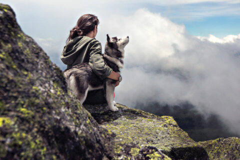 A woman and her dog sit on a mountain during a hike during the dog days of summer