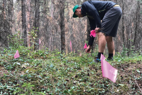 CAMBA Director of Trails and Safety, Andrew Dickison, flagging in preparation for a trail night.