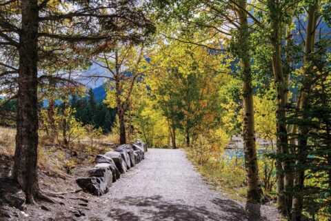 Trail by the Bow River in Canmore is a great place to practice trail etiquette