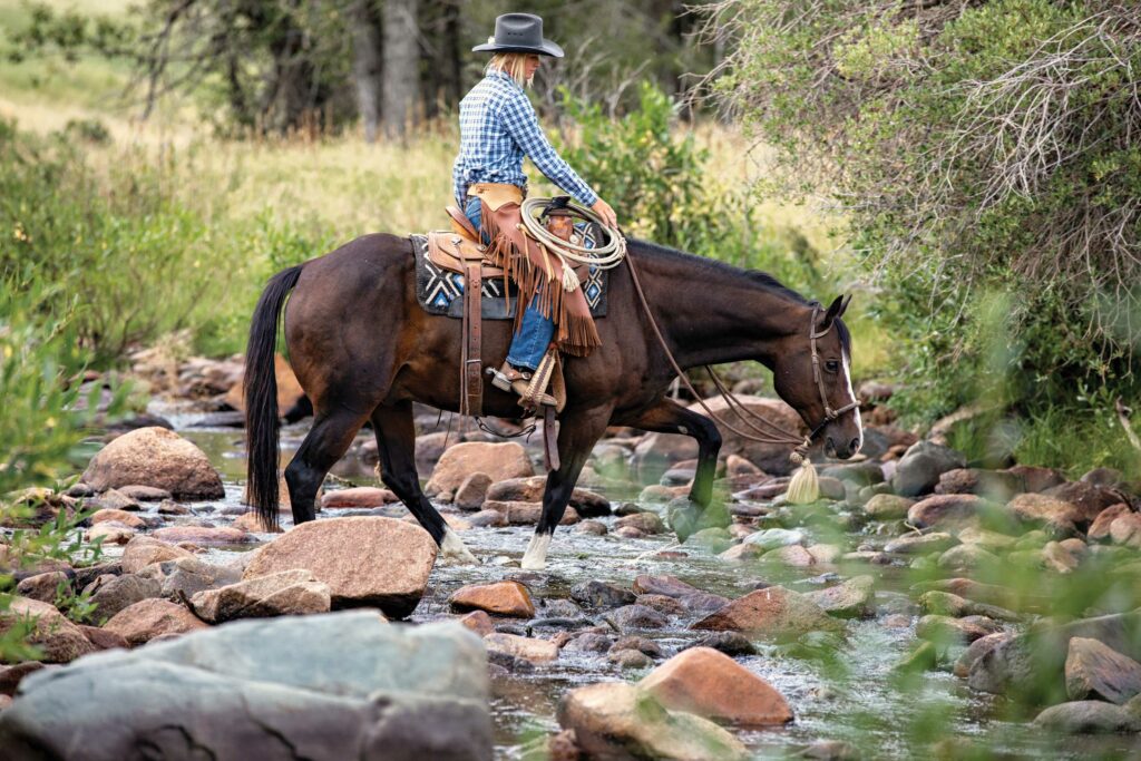 Horse crossing a creek using proper trail etiquette