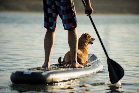 A SUP is one of the mountain summer essentials